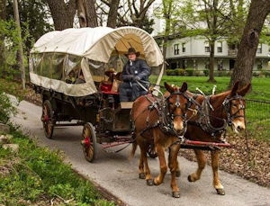 Covered wagon pulled by mules